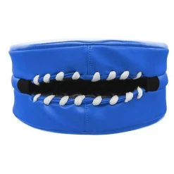 Adidas Double Faced Focus Mitt -Professional Boxing Equipment Store 662.20 blue below copy